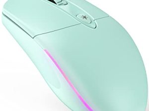 ماوس سلكي بتصميم مريح يقلل من إجهاد اليد والعضلات ، ماوس كمبيوتر USB صامت KKUOD ، ماوس 1600 نقطة في البوصة للمكتب والمنزل (أخضر ، سلكي)