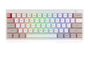 Ractous RTK61BP 60٪ لوحة مفاتيح ميكانيكية لاسلكية للألعاب ، RGB Blacklit PBT Sublimation Keycaps 61keys Bluetooth5.1 / Wried Gaming Keyboard for PC / Mac Gamers ، Hot-Swap Gateron Optical Switch-White