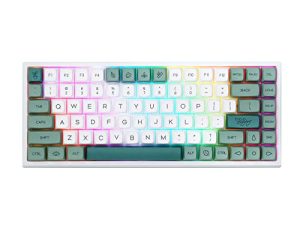 EPOMAKER EP84 ترقية 75٪ RGB Hot Swappable 2.4 جيجا هرتز / Bluetooth 5.0 / USB-C لوحة مفاتيح ميكانيكية سلكية للألعاب مع برنامج قابل للبرمجة ، NKRO ، Dye Sublimation PBT Keycaps for Mac / Win / Gamers (Budgerigar)