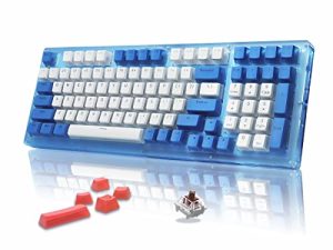 لوحة مفاتيح ميكانيكية Womier K98 - 96٪ لوحة مفاتيح زرقاء ، لوحة مفاتيح ميكانيكية سلكية للألعاب قابلة للتبديل السريع RGB ، لوحة مفاتيح أكريليك شفافة من 98 مفتاحًا لنظام التشغيل Mac Windows (98 مفتاحًا ، مفتاح Gateron Brown)
