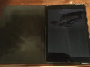 Apple MNV22LLA IPAD AIR2 32 جيجا بايت رمادي فلكي
