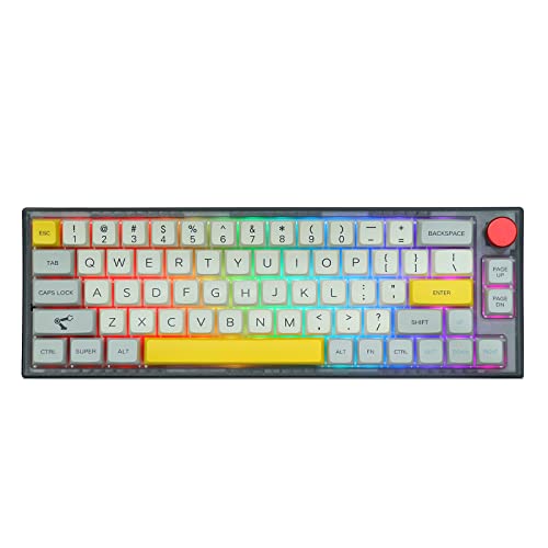 EPOMAKER TH66 60٪ Hot Swappable RGB 2.4Ghz / Bluetooth 5.0 / لوحة مفاتيح سلكية للألعاب الميكانيكية مع MDA PBT Keycaps ، بطارية طويلة الأمد 2200 مللي أمبير في الساعة ، مقبض تحكم لجهاز Mac / Win (Gateron Pro Blue ، TH66) EPOMAKER TH66 60٪ Hot Swappable RGB 2.4Ghz / Bluetooth 5.0 / لوحة مفاتيح سلكية للألعاب الميكانيكية مع MDA PBT Keycaps ، بطارية طويلة الأمد 2200 مللي أمبير في الساعة ، مقبض تحكم لجهاز Mac / Win (Gateron Pro Blue ، TH66)
