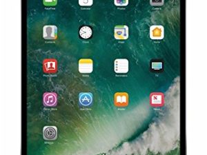 APPLE MPGH2LL / A iPad Pro مع شبكة Wi-Fi 512 جيجا بايت ، 10.5 بوصة ، رمادي فلكي (مجدد)