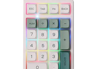 لوحة أرقام سلكية قابلة للتبديل السريع EPOMAKER TH21 21 مفتاح مع إضاءة خلفية RGB ، قابلة للبرمجة ، XDA Profile PBT Keycaps لمفتاح Win / Mac Budgerigar