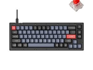 Keychron V2 لوحة مفاتيح ميكانيكية مخصصة سلكية ، 65٪ تخطيط QMK / VIA قابل للبرمجة ماكرو مع مفتاح K Pro Red قابل للتبديل السريع متوافق مع نظام التشغيل Mac Windows Linux (أسود بلوري - شفاف)