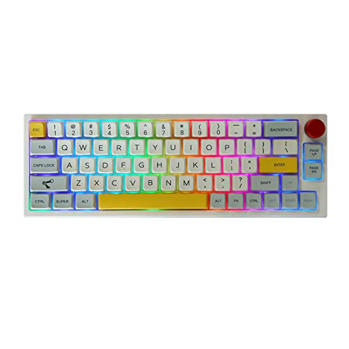 EPOMAKER TH66 65٪ Hot Swappable RGB 2.4Ghz / Bluetooth 5.0 / لوحة مفاتيح ميكانيكية سلكية مع أغطية مفاتيح MDA PBT ، بطارية طويلة الأمد 2200mAh ، مقبض تحكم لجهاز Mac / Win (Gateron Pro أسود مع حافظة بيضاء) EPOMAKER TH66 65٪ Hot Swappable RGB 2.4Ghz / Bluetooth 5.0 / لوحة مفاتيح ميكانيكية سلكية مع أغطية مفاتيح MDA PBT ، بطارية طويلة الأمد 2200mAh ، مقبض تحكم لجهاز Mac / Win (Gateron Pro أسود مع حافظة بيضاء)