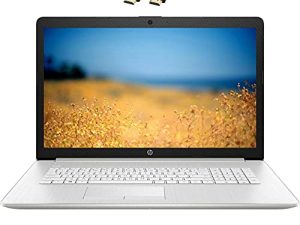2021 HP أحدث كمبيوتر محمول فاخر ، شاشة 17.3 بوصة عالية الدقة 1080 بكسل IPS ، الجيل الحادي عشر من Intel Core i5-1135G7 (Beat i7-1065G7) ، ذاكرة وصول عشوائي 16 جيجا بايت ، 512 جيجا بايت SSD ، HDMI ، Wi-Fi ، كاميرا ويب ، تكبير ، Windows 10 | مرفق HDMI كابل